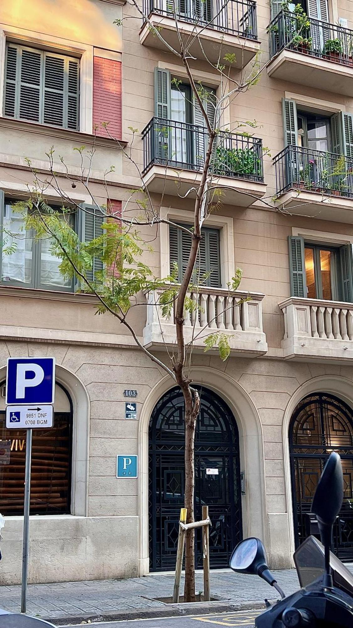 Hostal Madrazo Barcelona Exterior foto